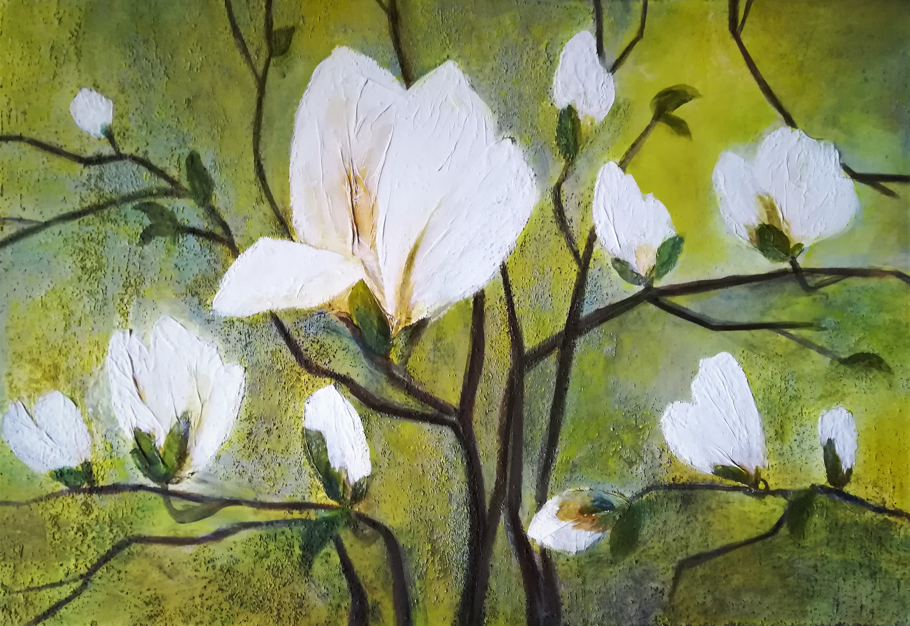 Bild Magnolienzweige