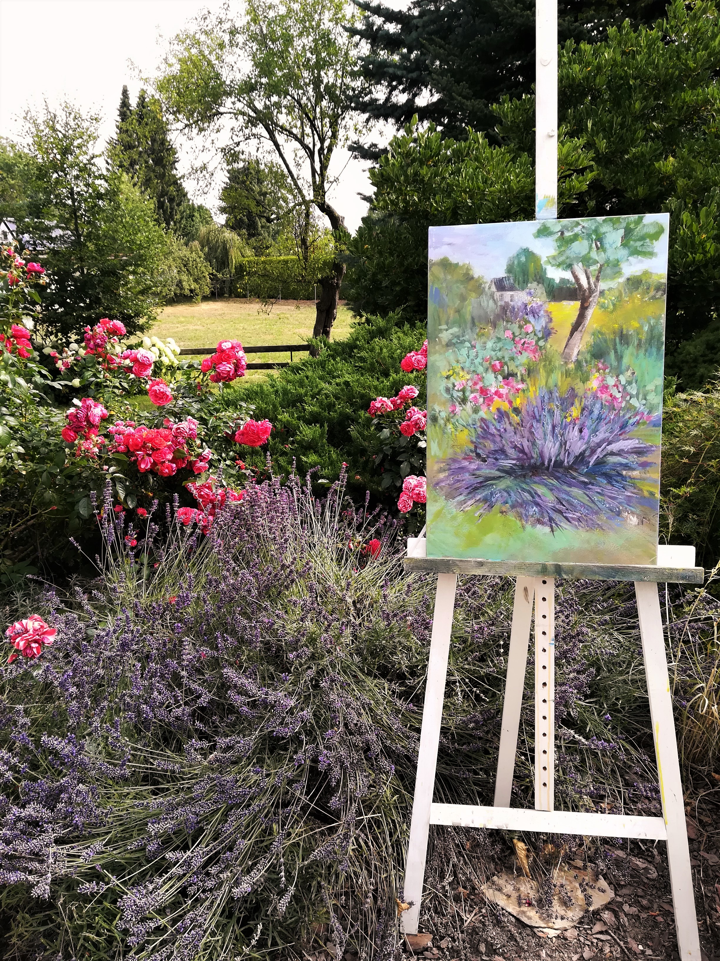 Bild Lavendel gedoppelt