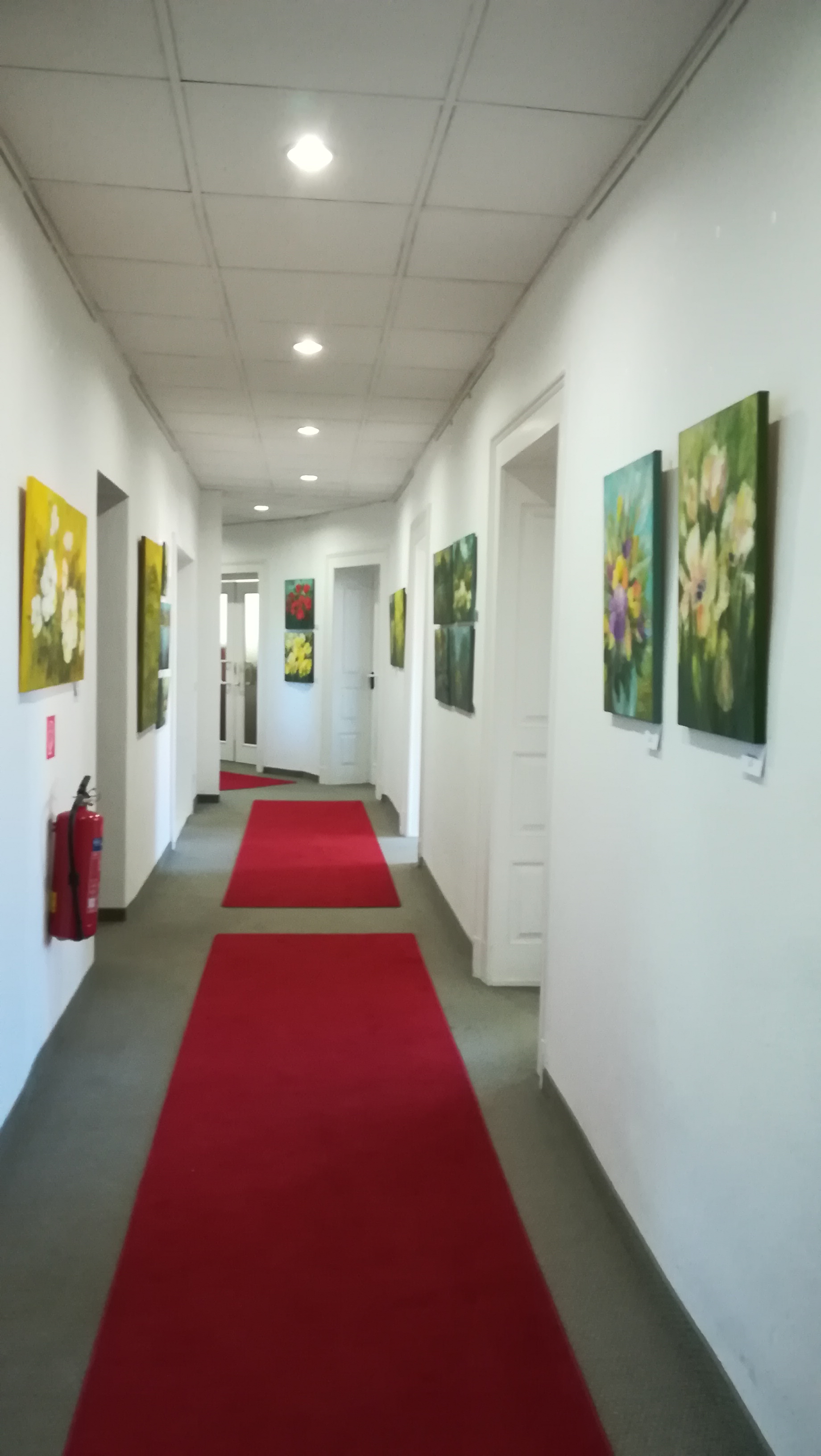 Bild Ausstellung EA